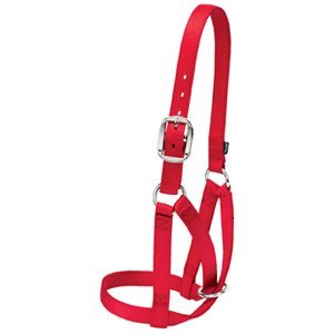 Buy Weaver Leather Cow Barn Hltr Lg Red Online At Low Prices In
