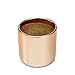 Copper, Rose Gold Succulent Plant Pot - 4 Inch Pot Can Hold Large & Small Succulents, Cactus and Flowers - Cylindrical Modern Design - Rose Gold and Copper for In-Style Look