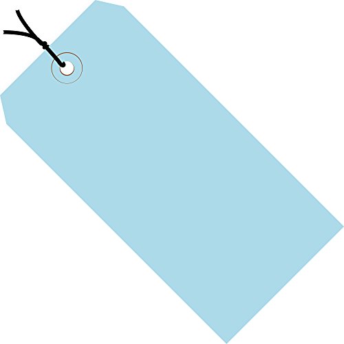Aviditi Strung Shipping Tags, 3 1/4" x 1 5/8", 13 Pt, Light Blue, with Reinforc…