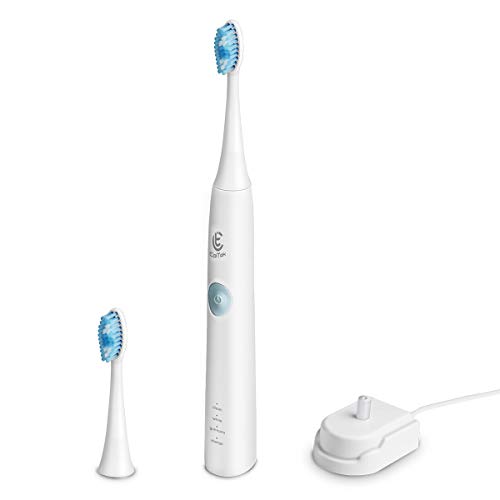The Best Plug In Electric Toothbrush of 2019 Top 10, Best Value, Best