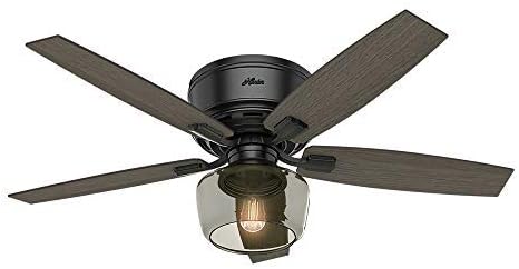 Hunter Indoor Low Profile Ceiling Fan With Light And Remote