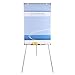 VIZ-PRO Magnetic Whiteboard Easel, 48 x 24 Inches, Portable Dry Erase Board Height Adjustable for School Office and Home