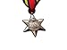 The Burma Star Military Medal WW2 Commonwealth British Military Award For | Army | Navy | RAF | REPLICA George VI