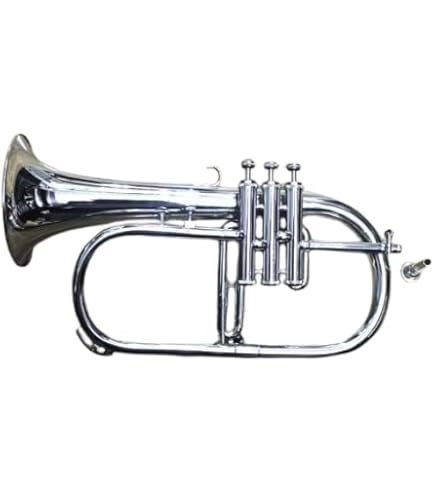 Amazon.com: B&S 3145 Challenger I Intermediate Bb Flugelhorn