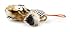 Petlinks HappyNip Lion Launcher Cat Toy, Contains Silvervine & Catnip - Multi Color, One Size