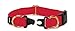 PetSafe KeepSafe Break-Away Collar, Prevent Collar Accidents for Your Dog or Puppy, Improve Safety, Compatible with Lead Use, Adjustable Sizes