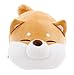 MathewArt Cute Shiba Inu Dog Throw Pillow Animal Pillows Plush Toy (Dog1, 12 Inch)