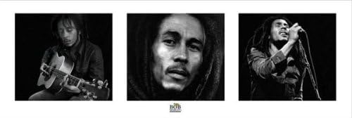 Beyond The Wall Bob Marley Black and White Reggae Rastafarian Music Legend Icon Poster Print 12 by 36