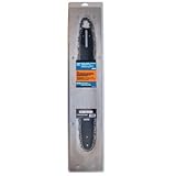 Power Care 20A Bar And Chain Combo