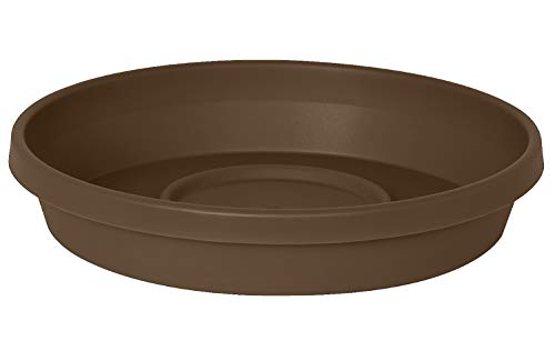 Bloem STT2445 Terra Saucer, Plant Tray 20″ Chocolate