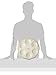 Lenox Judaic Blessings Seder Plate, White