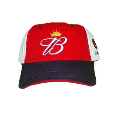 Dale Earnhardt Budweiser Fitted Hat NASCAR Dale Earnhardt Jr