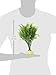Exo Terra Boxwood Bush Terrarium Plant