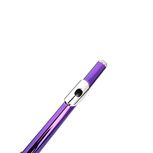 DREAMALVA Purple 16 Hole C Closed Hole White Copper Flute + Pass Rod + Cleaning Cloth + Lubricant + Screwdriver