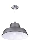 Canarm BL14CL All Weather 1-Bulb Suspended Mount All Weather Light, Grey (Tools &amp; Home Improvement)
