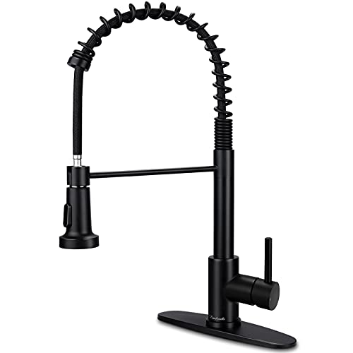 Matte Black Kitchen Faucet with Pull Down Sprayer, Lanhado Commercial Spring Kitchen Sink Faucet with Deck Plate, Single Handle One Hole Kitchen Faucets for RV, Stainless Steel Faucet for Kitchen Sink