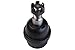 Prime Choice Auto Parts CK555PR Pair of Lower Ball Joints