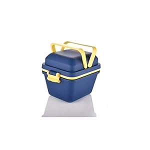 Krepton Airtight Lunch Box Set/ 3 Compartment Tiffin with Handle & Push Lock (300ml) (Multicolour)