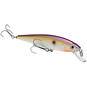 Strike King Hckvdj200-469 Kvd Jerkbait 2 Crochets, Tn Shad 2.0