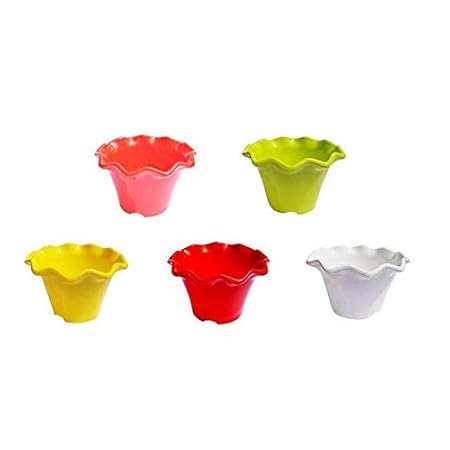 Airex Blossom Flower Pot, Hanging Pot Multi Color (Pack of 5, Height: 4.5 Inch) Plant Container Set (Plastic)