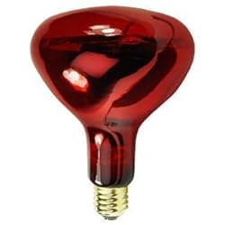 (4 Pack) 250 Watt R40 Infrared Heat Lamp Light Bulb 220 ...