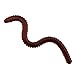 WINOMO 20g Soft Lures Plastic Lifelike Fake Earthworm Grub Worm Fishing Lures Baits (Red)