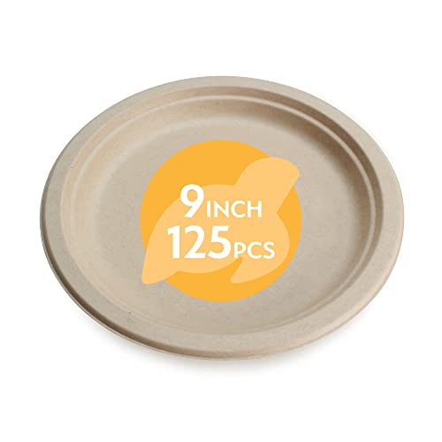 100 Compostable Disposable Paper Plates Bulk [9" 125 Pack], Bamboo