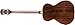 Fender T-Bucket 300 Acoustic Electric Bass Guitar, Rosewood Fingerboard - Trans Cherry Burst