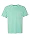 Comfort Colors Men's Garment-Dyed Pocket T-Shirt_Chalky Mint PgmDye_M