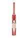 PUMA Cricket Kashmir Willow Bat (Evo Speed 2 KW Senior, Short Handle) by Yogi Sports