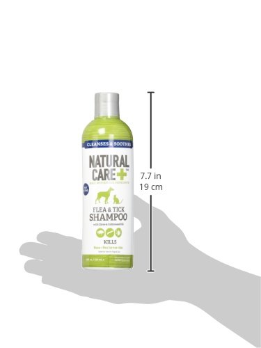 Natural Care Flea and Tick Dog Shampoo - Flea & Tick Treatment for Dogs - Flea & Tick Killer with Certified Natural Oils - 12 Fluid Ounces