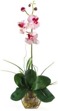 Nearly Natural Mini Phalaenopsis Liquid Illusion Silk Orchid Arrangement