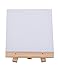 MEEDEN Mini Canvas & Easel Set of 12 PCS, 4