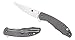 Spyderco Mantra 2 Folding Knife - Titanium Handle with PlainEdge, Full-Flat Grind, CPM M4 Steel Blade and R.I.L - C203TIP