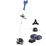 WILD BADGER POWER 40V Weed Eater/Wacker, Brush