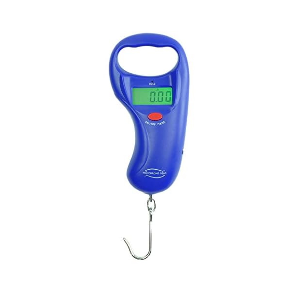 Home-Lake-Digital-Fish-Scale-by-Polychrome-Gear-99lb45kg-Mountain-Lake-Blue