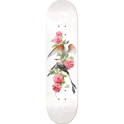 Kyle Walker Natural Domain Skateboard Deck - 8.25" X 32"