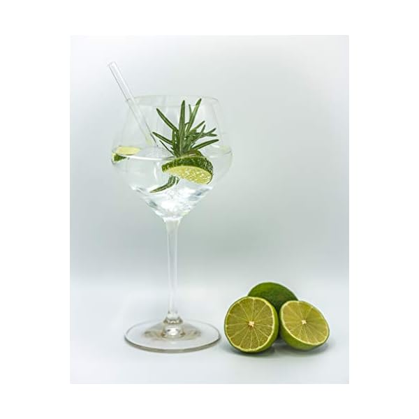 RIEDEL Gin Tonic Vorteilsset 5441/97 + Gratis 4er Set EKM Living Glas Trinkhalm – Bild 3