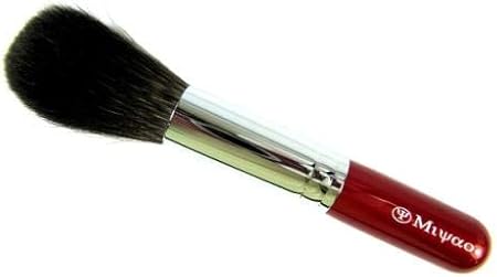powder brush amazon