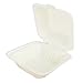 Green Earth 6-inch, 500-Count, Compostable Clamshell, Natural Bagasse (Sugarcane Fiber), Take-Out/to-Go Food Boxes - Biodegradable Containers, Hinged Lid Microwave-Safe Gluten-Free Eco-Friendly