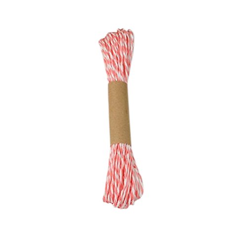 Kraft Rope - 1pc Home Decorations Colorful Paper Twine String Diy Handmade Material Wedding Birthday Party 2mm - Pinkfong Orange Vaquero Surprise Tropical Your Show Girls Easter Rainbow Adult - Thumbnail 6