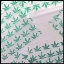 2020 Apple Mini Ziplock Baggies Green Leaf Design 100 Bags 2" X 2"