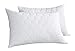 Goose Feather Pillows for Sleeping, 100% Cotton Cover, Quatrefoil Quilted, Queen Size (2 Pack)