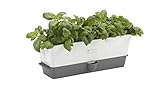Cole & Mason Fresh Herb Range Self-Watering Potted Herb Keeper, Enamel Coated Steel, White and Grey, Triple