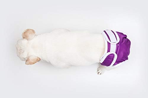 diapers for dogs without tails
