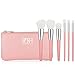 Posh Beauty Co. (TM) Makeup Brushes Premium Synthetic Foundation Powder Concealers Eye Shadows Makeup 7 Pcs Brush Set, Rose Silver