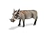 Schleich Warthog Sow