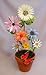 Fused Glass Flowers Hardware Kit [Office Product]