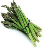 5 2-year JERSEY KNIGHT Asparagus Plants -- organic bare-root crowns - Licensed N