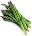 5 2-year JERSEY KNIGHT Asparagus Plants -- organic bare-root crowns - Licensed N